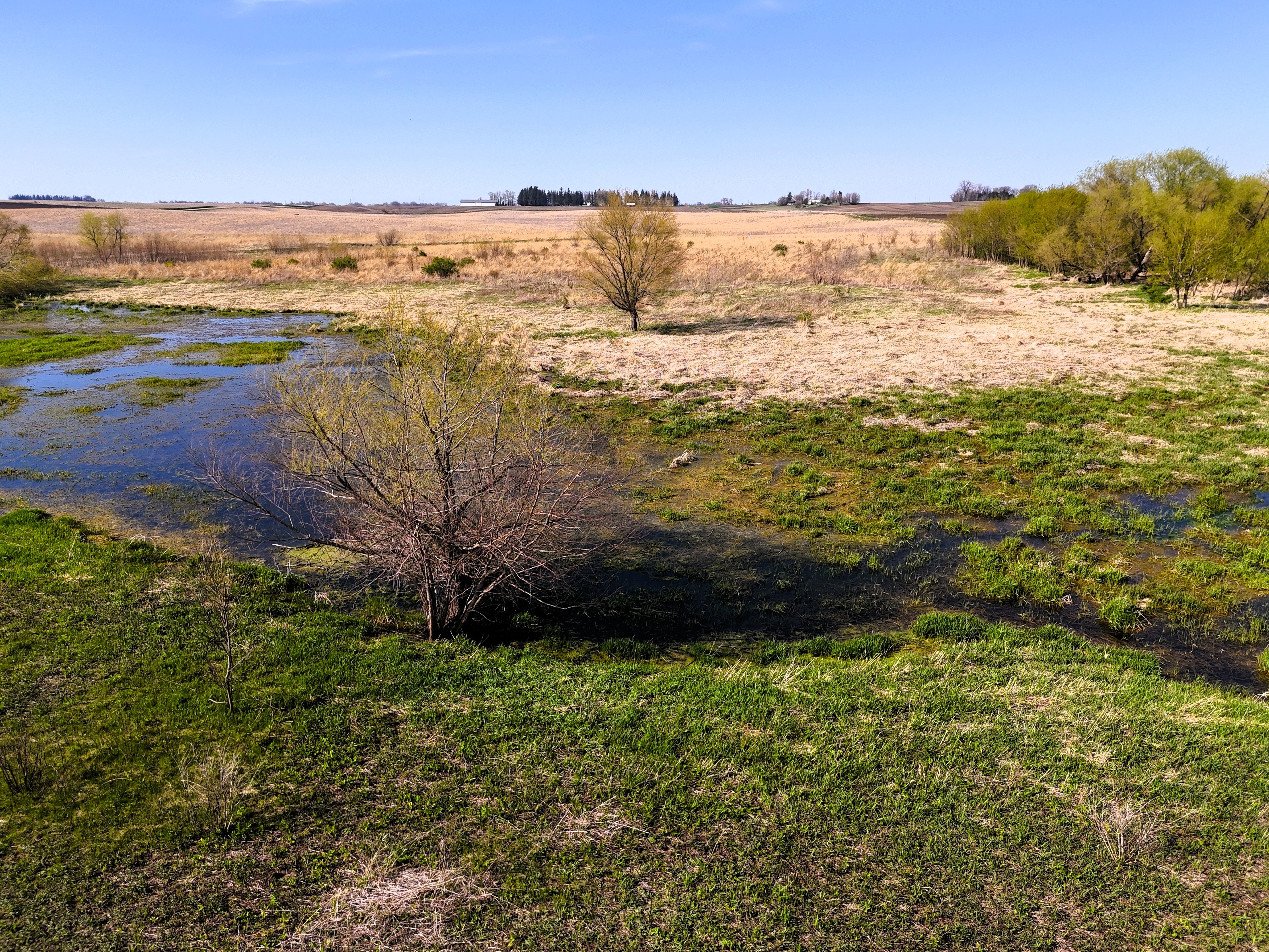 Listing Photo: Ground 5